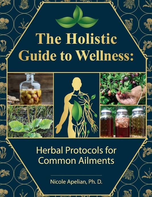 The Holistic Guide to Wellness - PDF